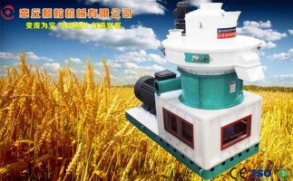 中國創新提速，綠色經濟之離心高效環模顆粒機