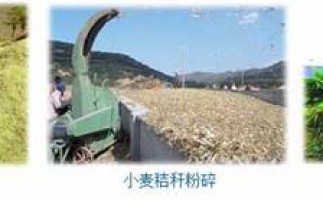 農民科學發展新思路，秸稈綜合利用成為賺錢好門路之秸稈顆粒機